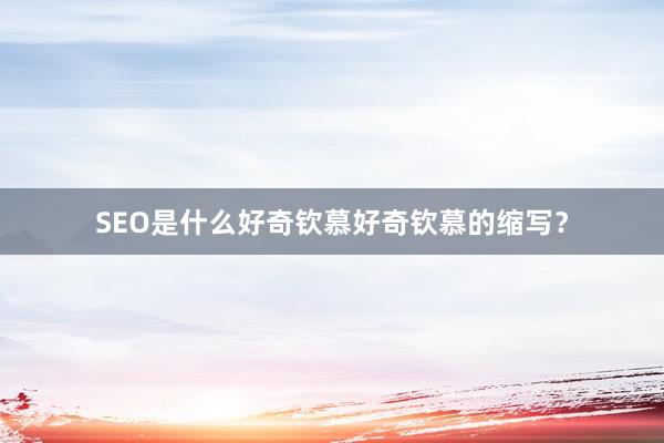 SEO是什么好奇钦慕好奇钦慕的缩写？