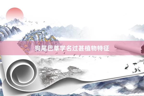 狗尾巴草学名过甚植物特征