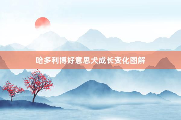 哈多利博好意思犬成长变化图解