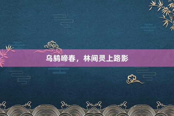 乌鸫啼春，林间灵上路影