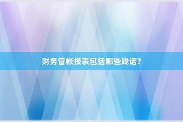 财务管帐报表包括哪些践诺？