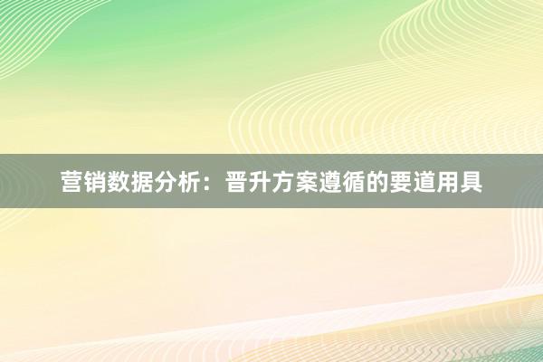 营销数据分析：晋升方案遵循的要道用具
